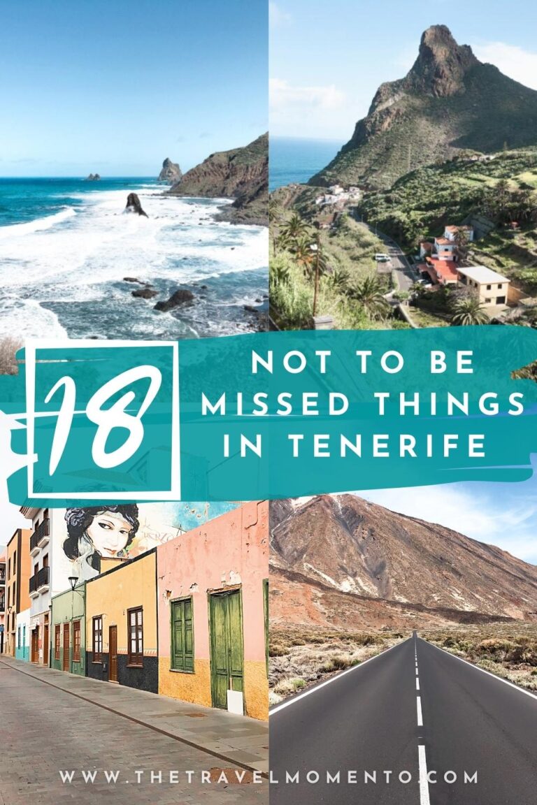 18 things to see and do in Tenerife