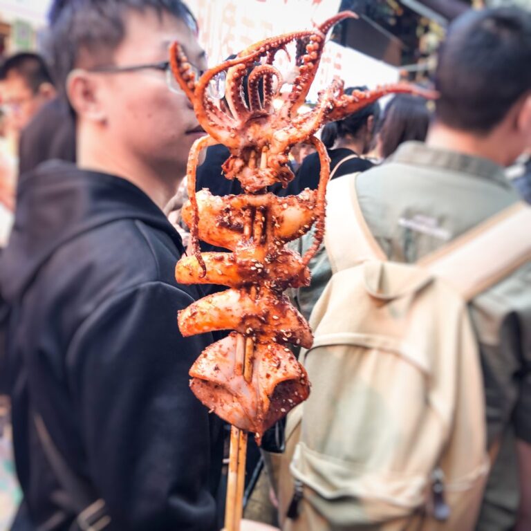 Giant squid on the stick at the Muslim street in Xi'An